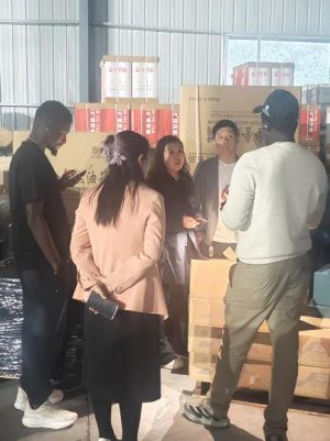 Senegal se voorste motoronderdeleverspreider GKP besoek pakhuis: bestel grootmaat HOWO & SHACMAN-onderdele met onmiddellike versending