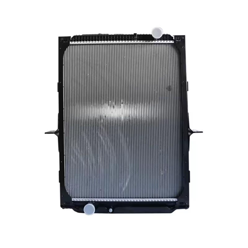 Motortoebehore verkoeler DZ91125328