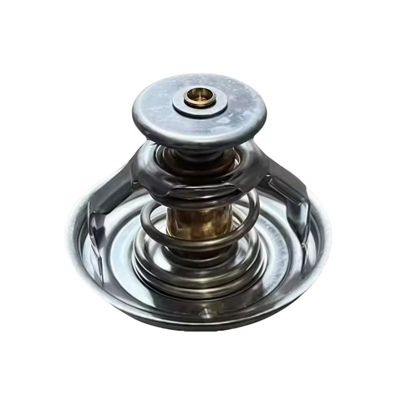Vragmotor enjin termostaat 1000837830